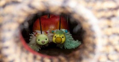 Секрет для одного: что показал японский театр «Yuki Puppet Works» в Абакане